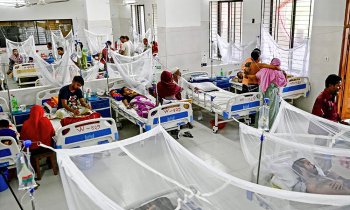 একদিনে ডেঙ্গু আক্রান্ত ২৮৮, বরিশালেই ২৬১